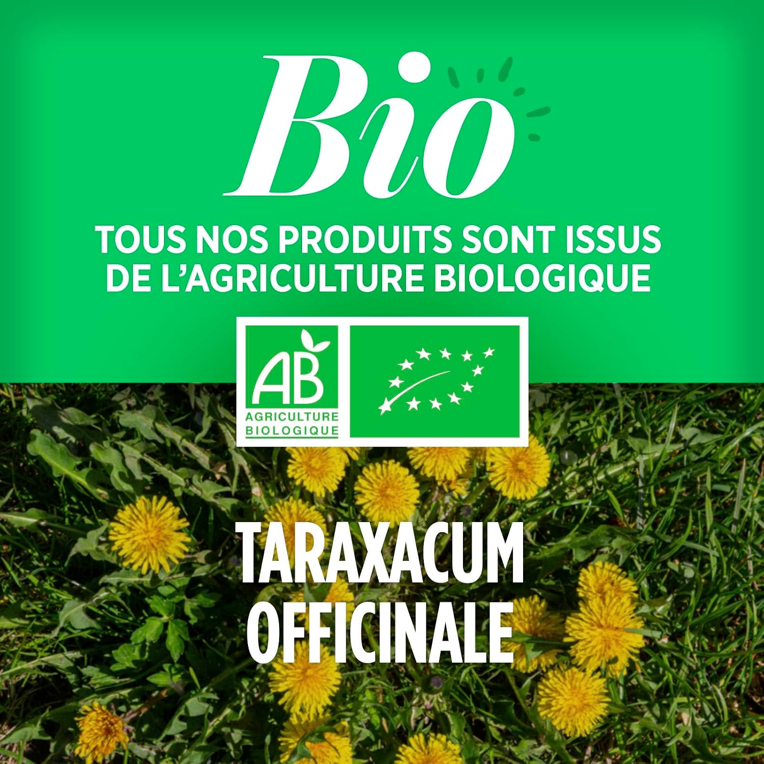 Dandelion Organic - Taraxacum officinale - URINARY SYSTEM - 400 mg - 120 tablets - Image 5