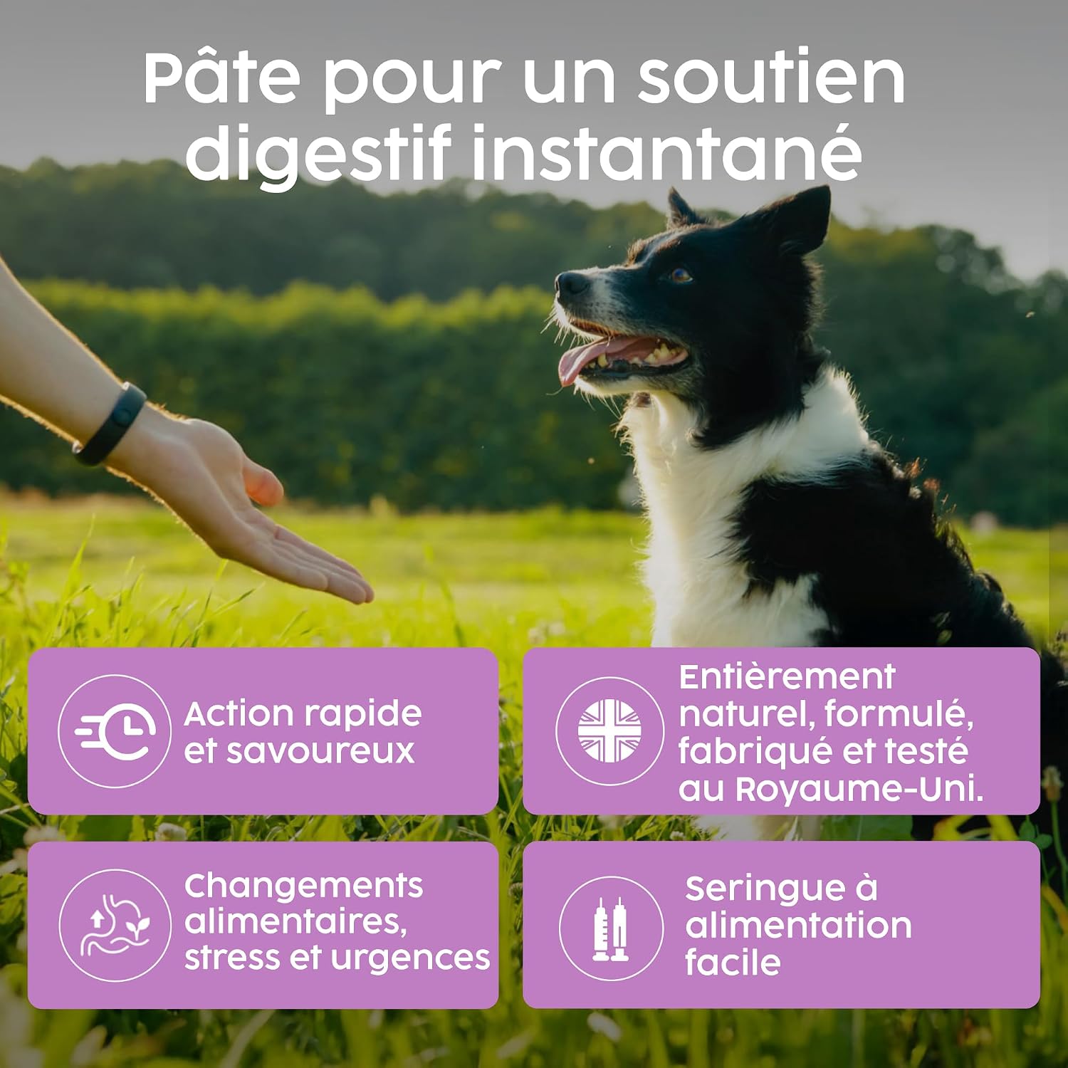 Veterinary Probiotic Dog Paste 60 ml - Relieves Digestive Enzymes, Support Gut Flora, Anti Diarrhea, Prebiotics and Probiotics, 100% Natural Ingredients | Beef - Image 4