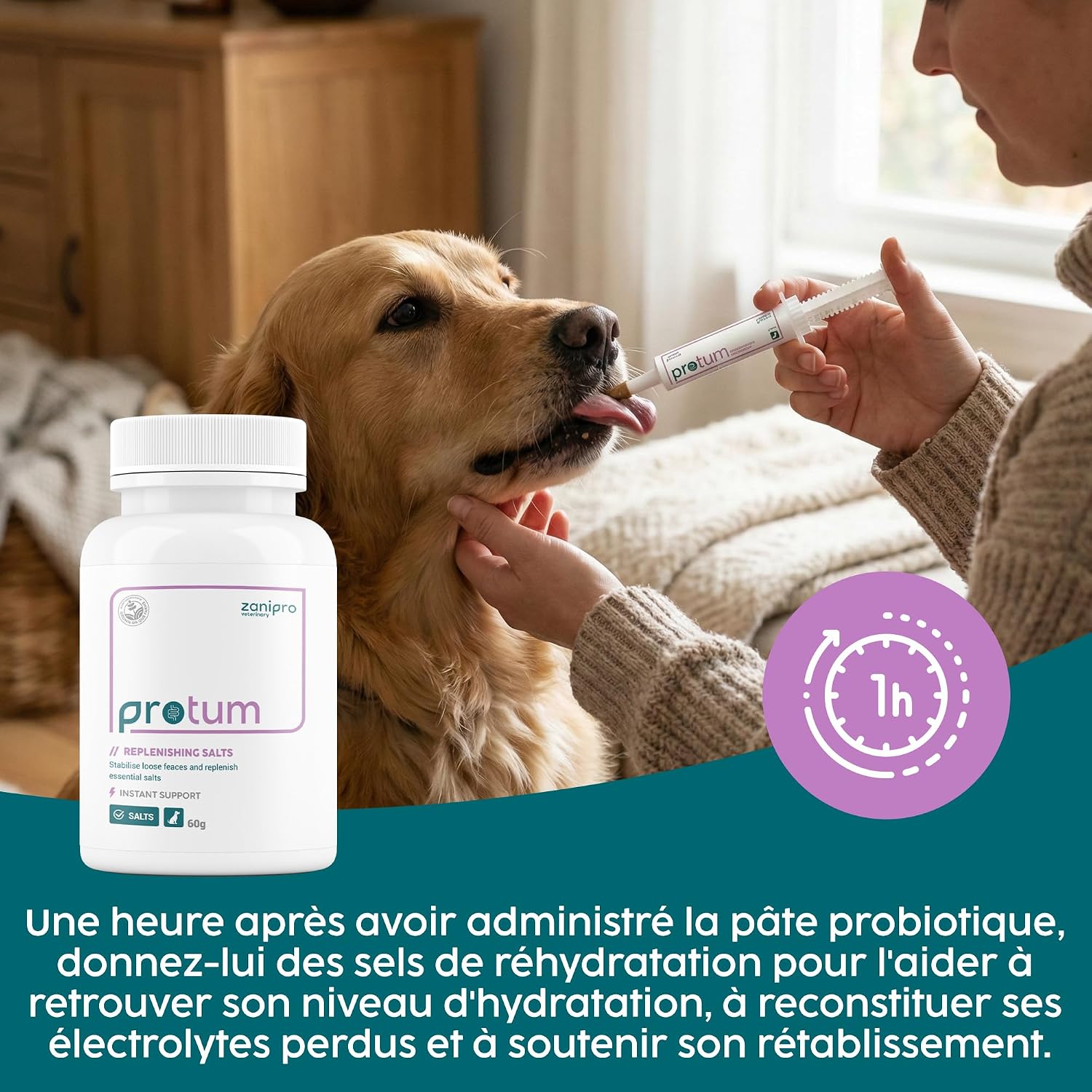 Veterinary Probiotic Dog Paste 60 ml - Relieves Digestive Enzymes, Support Gut Flora, Anti Diarrhea, Prebiotics and Probiotics, 100% Natural Ingredients | Beef - Image 8