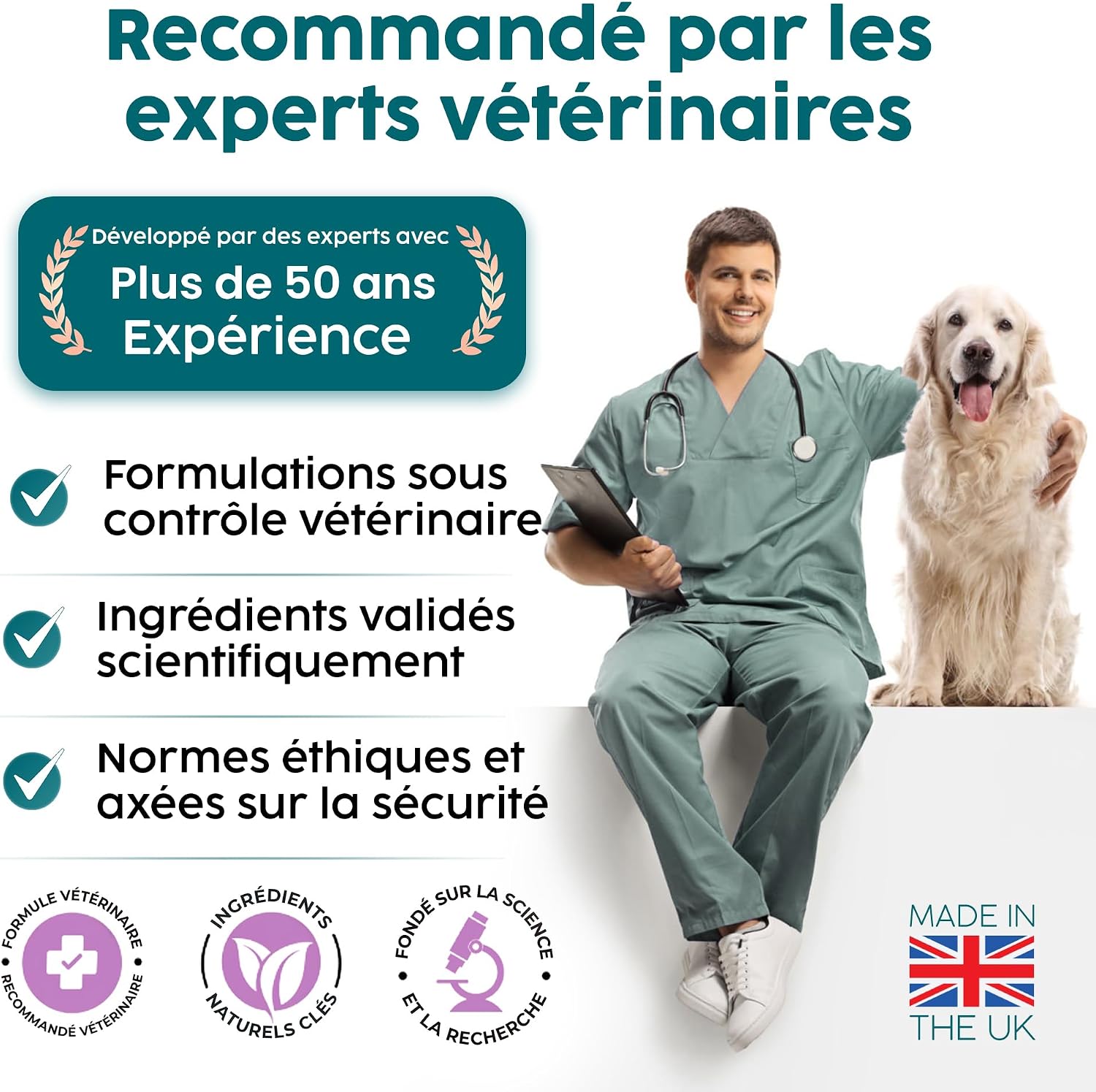 Veterinary Probiotic Dog Paste 60 ml - Relieves Digestive Enzymes, Support Gut Flora, Anti Diarrhea, Prebiotics and Probiotics, 100% Natural Ingredients | Beef - Image 9