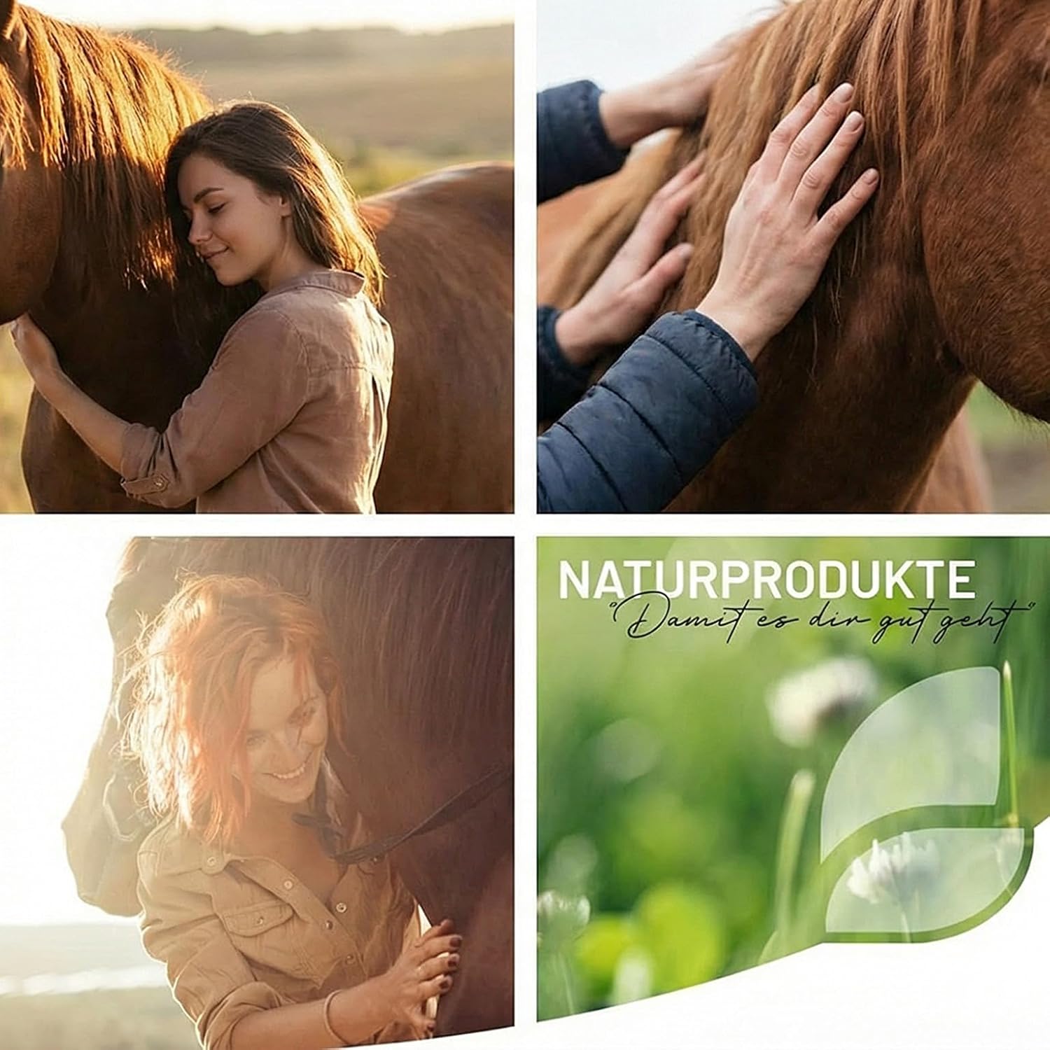 ReaVET Darm Prebiotic 1 kg for Horses, Gastrointestinal Horses, Fecal Water, Horses, Intestinal Problems Horse, Natural Product Without Cereals No Additives - Image 7