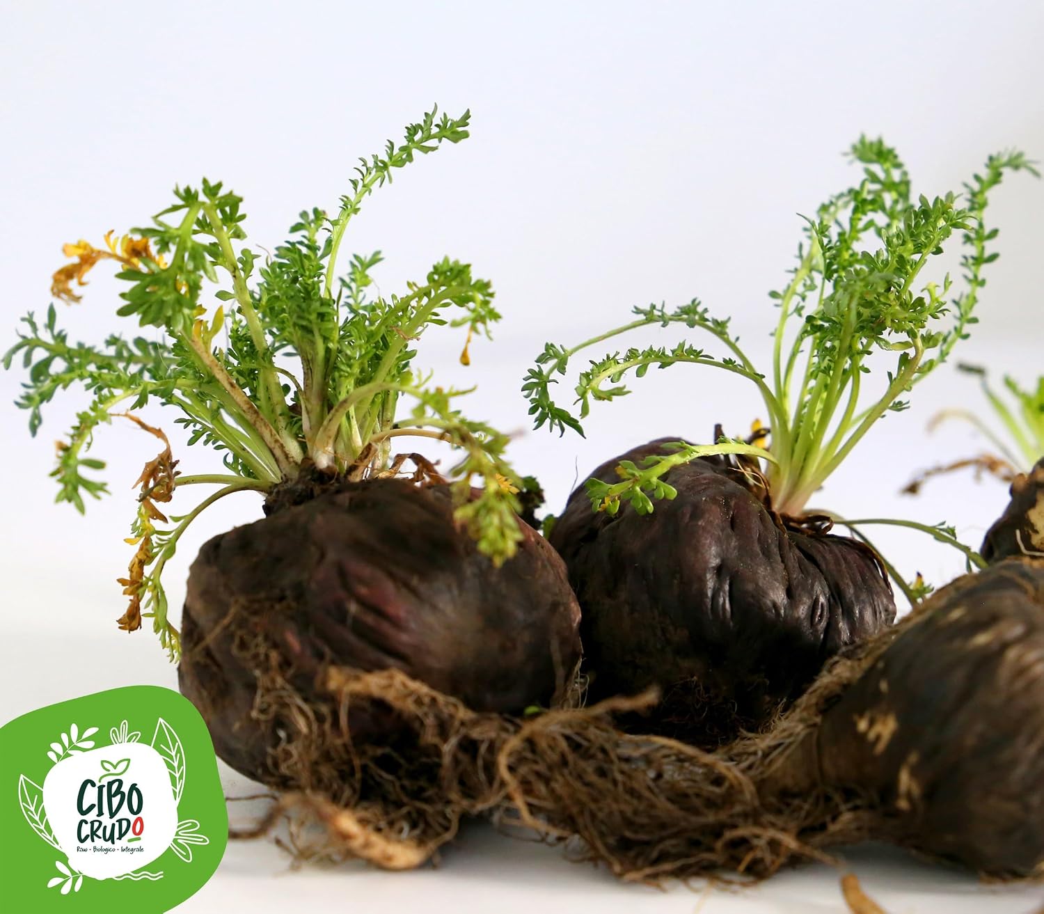 Cibo Crudo Organic Black Maca Powder, Peru Root - 150g - Image 4