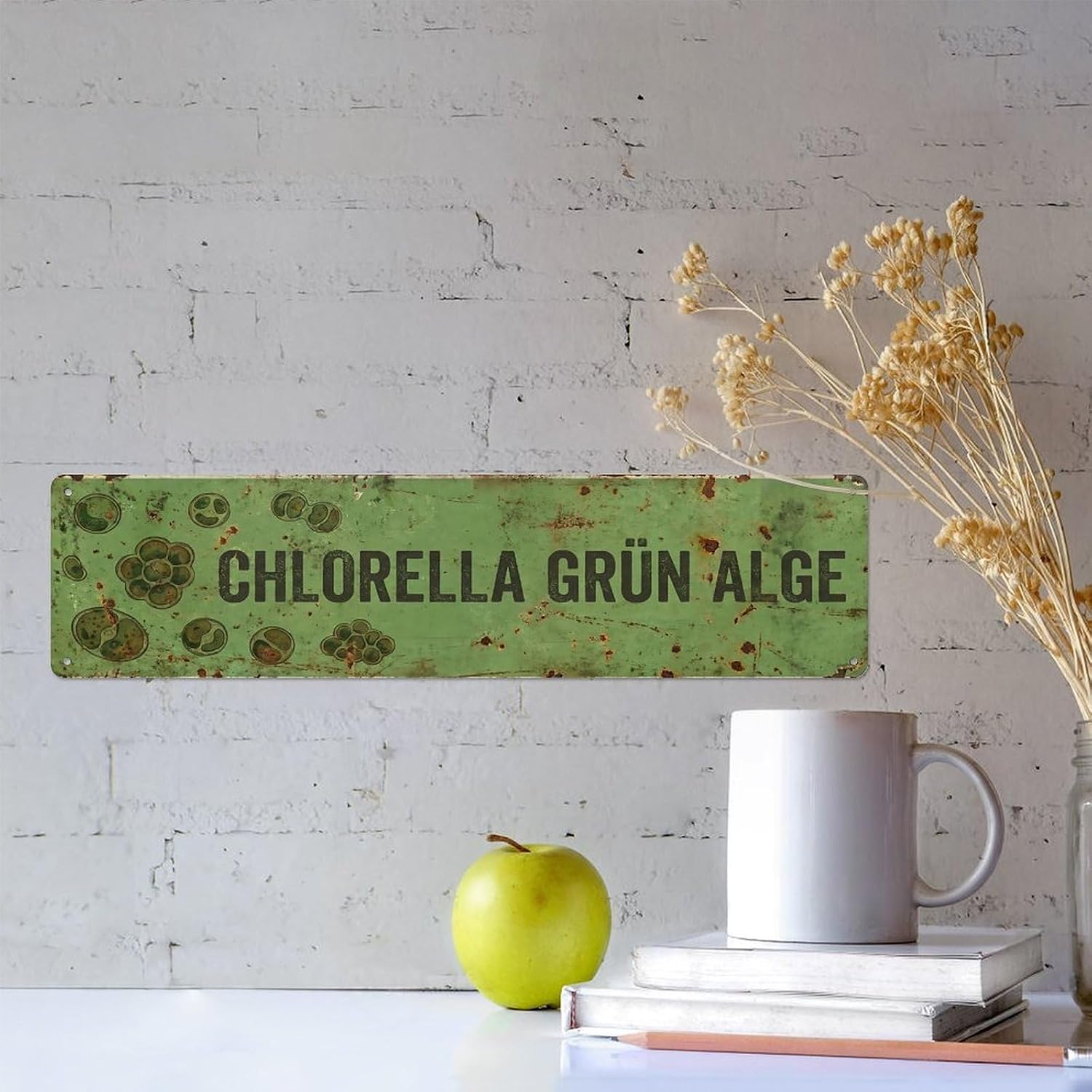 Plaque en métal vintage Chlorella Green Algae - Image 7
