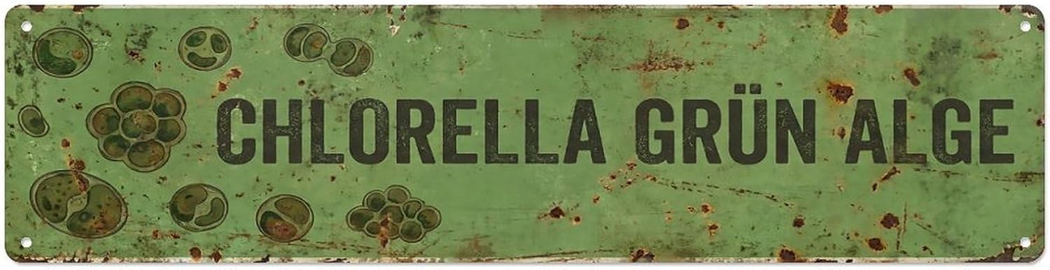 Plaque en métal vintage Chlorella Green Algae - Image 2