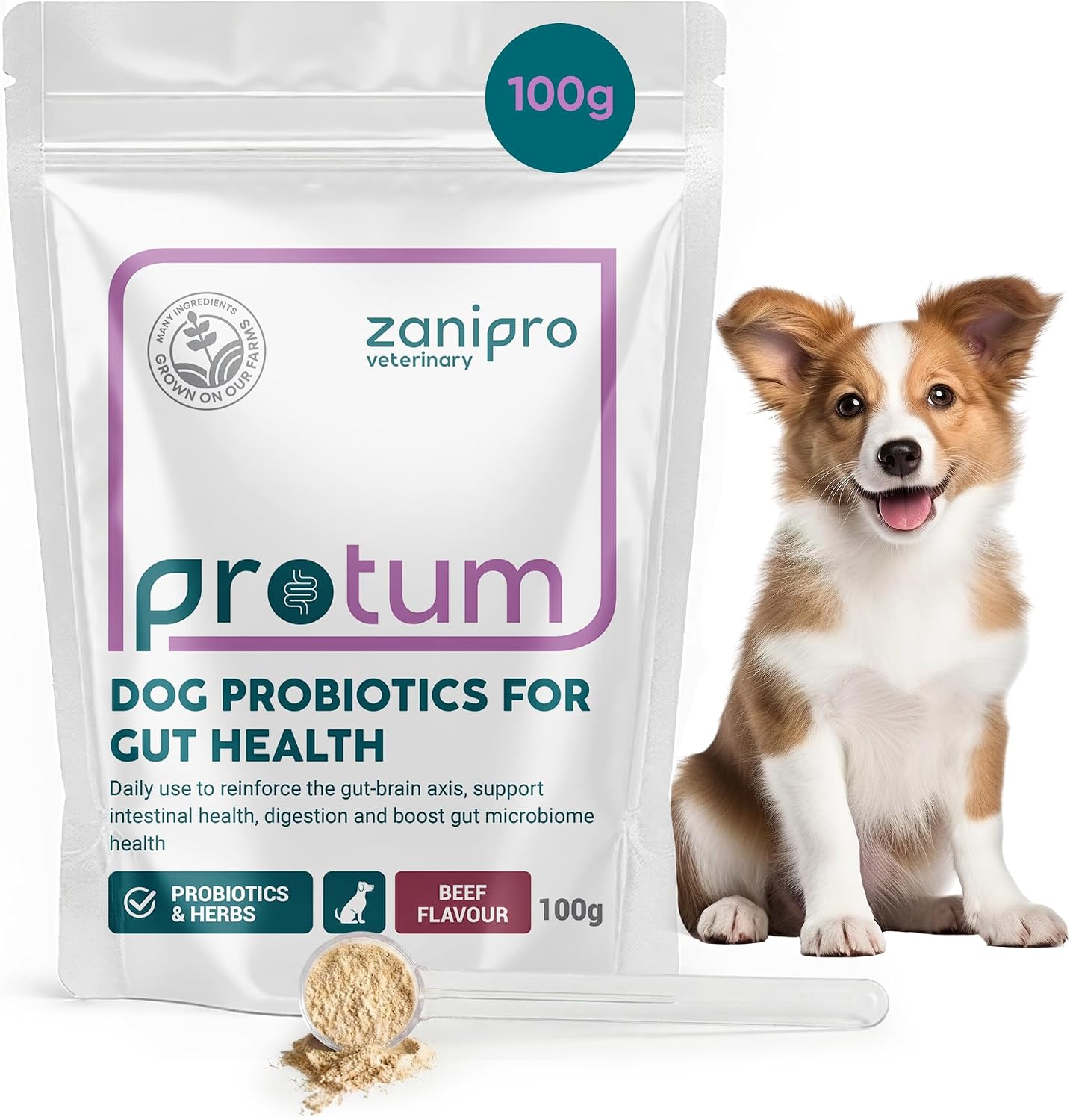 Probiotics for Dogs, Gut Health Supplement 100g - Advanced Probiotic Powder for Dogs with Prebiotics for Digestive and Immune Support - Image 2